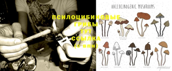 герыч Алексин