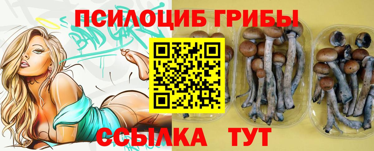 Галлюциногенные грибы Cubensis  Вход с VPN  Белебей 